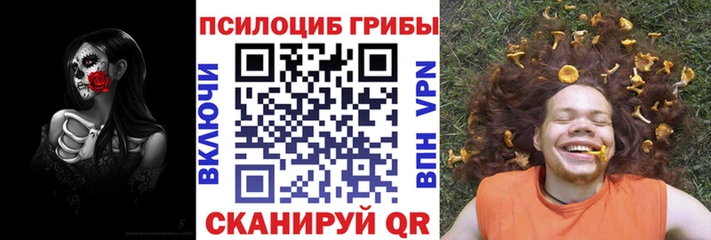 Псилоцибиновые грибы Cubensis  Белореченск 